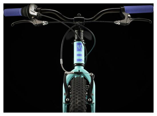 VTT Enfant Trek Precaliber Shimano Tourney 8V 24'' Vert / Violet 