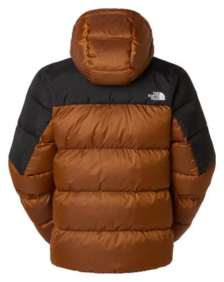 Doudoune The North Face Diablo 2.0 Hoodie Brun Homme
