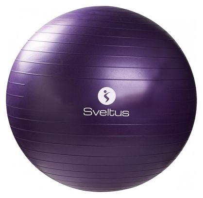 Gymball boîte Sveltus 75cm