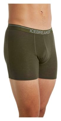 Boxer Icebreaker anatomica