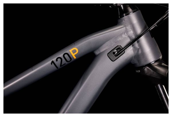 Cube Stereo 120 Pro Vollfederung MTB Sram NX/SX Eagle 12S 29'' Grau 2022