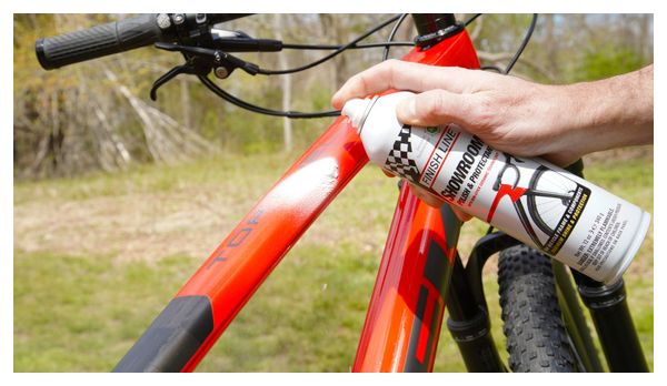 Polish &amp; Protector Finish Line Showroom Aerosol 340ml