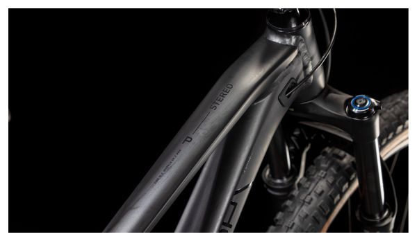 Cube Stereo One22 Pro Full Suspension MTB Sram NX Eagle 12S 29'' Metal Black 2025