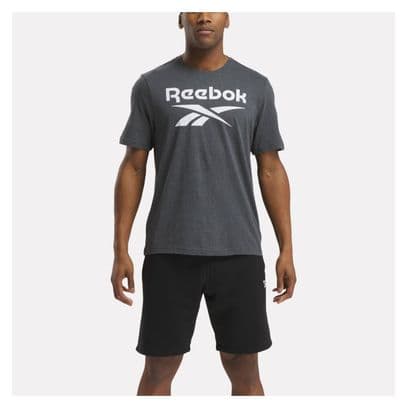 T-Shirt Reebok Identity Big Logo Gris
