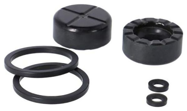 Kit Pistons Sram Rival AXS pour Étrier Sram Rival AXS D1 (ED-RIV-D1)