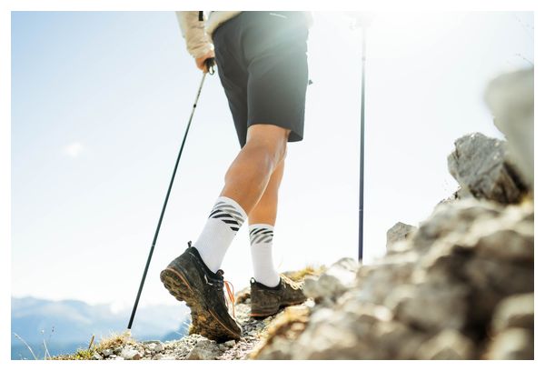 Calcetines Incylence Merino Light Lanes Gris/Negro