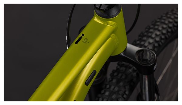 Cube Aim Pro Hardtail MTB Shimano 10S 29'' Lizard Green 2026