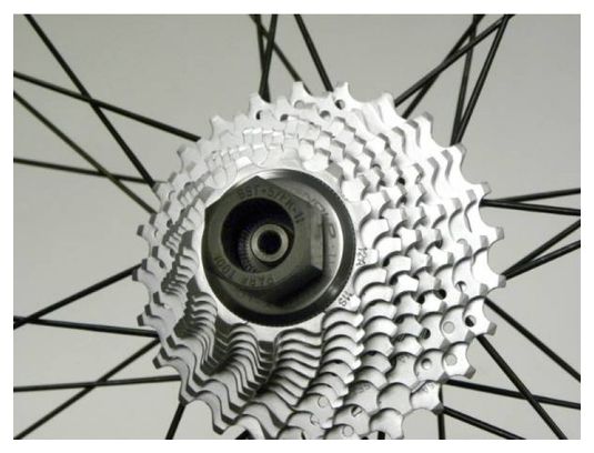 PARK TOOL Démonte cassette pour Campagnolo BBT-5/FR-11