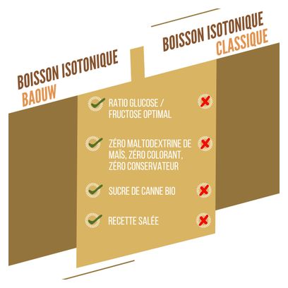 Boisson Isotonique Baouw Bouillon Salé - 45g