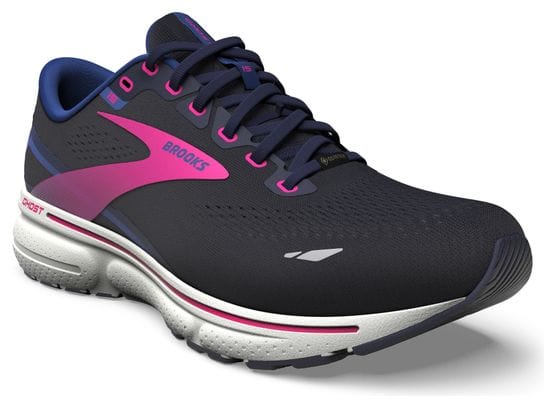 Brooks Ghost 15 GTX Blue Pink Women's Running Shoes