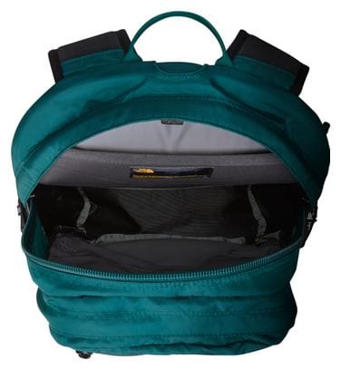 Sac à Dos The North Face Borealis Classic 29L Vert Unisexe