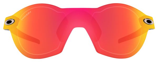 Máscara Oakley Re:Subzero Carbon Prizm Ruby / Ref.OO9098-0248