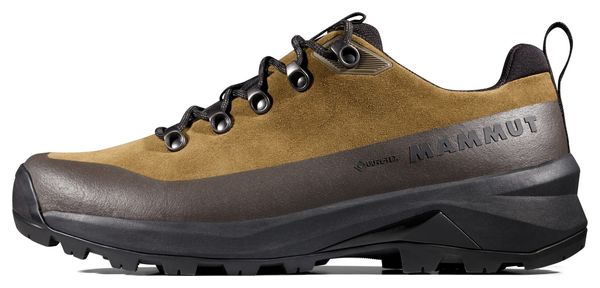 Zapatos de senderismo Mammut Ducan III Low LTH Gore-Tex Marrón Hombre