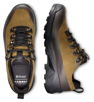Zapatos de senderismo Mammut Ducan III Low LTH Gore-Tex Marrón Hombre