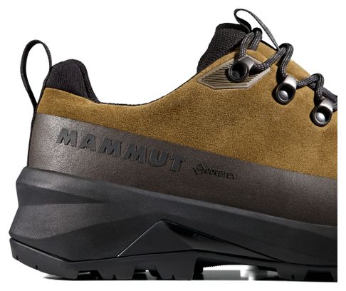 Zapatos de senderismo Mammut Ducan III Low LTH Gore-Tex Marrón Hombre