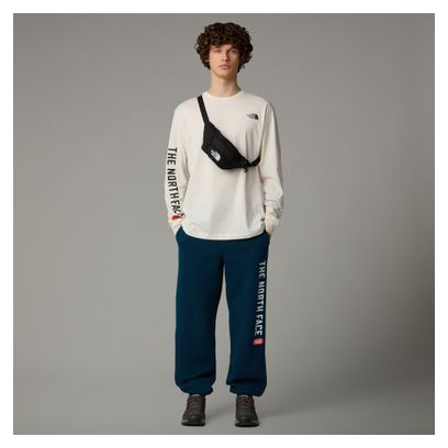 ★★送料無料★★THE NORTH FACE★★SLEEVE GRAPHIC L/S T-SHIRT The North Face Varsity Graphic White Long Sleeve T-Shirt