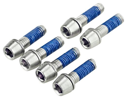 Set di 6 viti in acciaio Ritchey per stelo Ritchey WCS 4-Axis / Comp 4 Axis 44