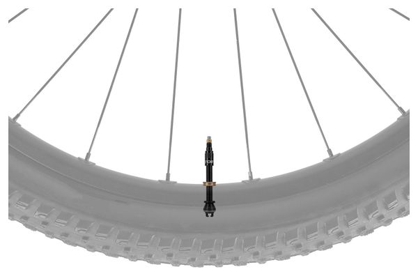 Coppia di valvole tubeless Topeak TurboFlow nere