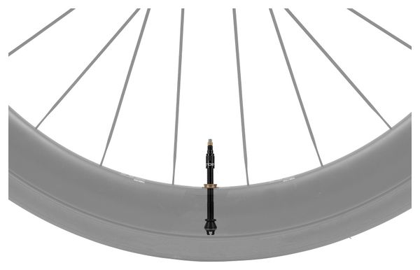 Coppia di valvole tubeless Topeak TurboFlow nere