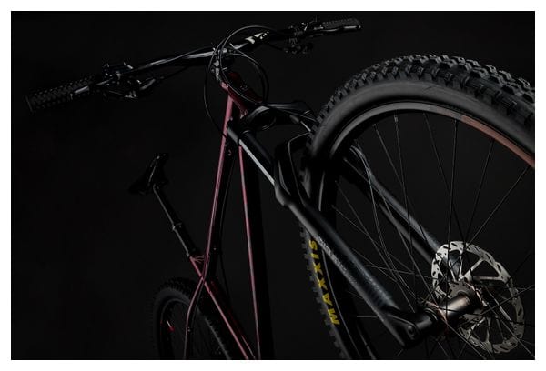 Semi-Rigid MTB NS Bikes Eccentric Cromo Shimano Deore M6100 12V 29'' Dark Red 2023