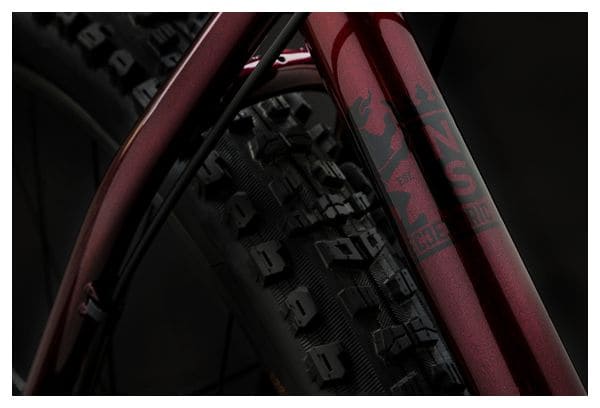 Semirrígidas MTB NS Bicicletas Excéntricas Cromo Shimano Deore M6100 12V 29'' Rojo Oscuro 2023