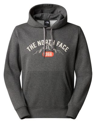 Sweatshirt The North Face Hoodie Varsity Graphic Grau