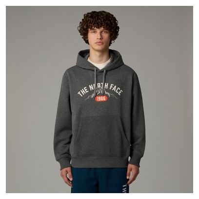 The North Face Hoodie Varsity Graphic Grey