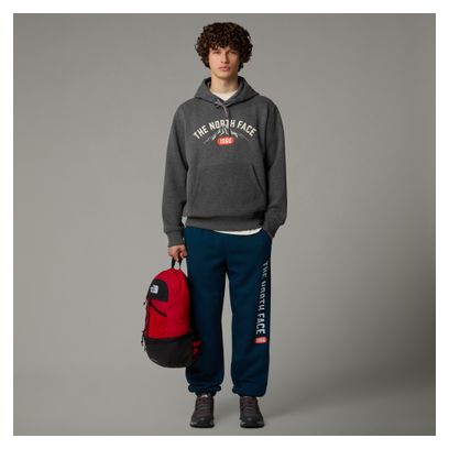 Sweatshirt The North Face Hoodie Varsity Graphic Grau