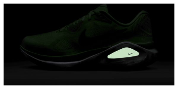 Chaussures Running Nike Structure 26 Vert/Bleu Homme