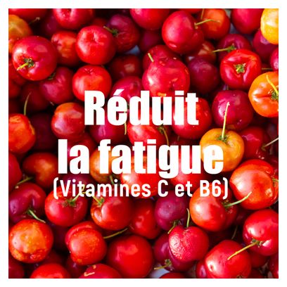 Boisson Énergétique Overstims Hydrixir Antioxydant Fruits Rouges 3Kg