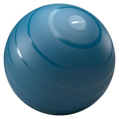 Palla da ginnastica Domyos 55 cm Blu
