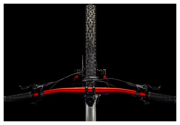 Cube Stereo One22 Race Volledig Geveerde MTB Shimano Deore/Deore XT 12S 29'' Ruw Metaal Zilver 2025