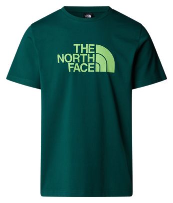 Camiseta de manga corta para hombre The North Face Easy Verde
