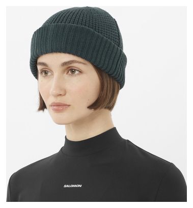 Salomon Docker Beanie Green