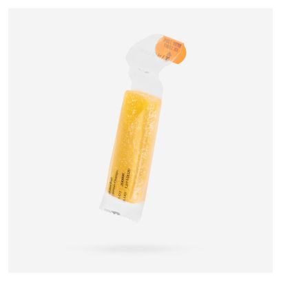 Aptonia Ultra Citrus Fruit Paste 12 x 25g