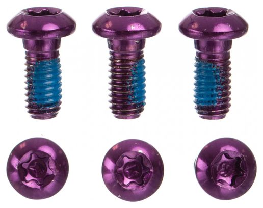 Neatt Stainless Steel Disc Screw M5x10 mm Purple (x6)