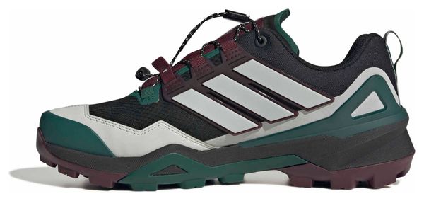 adidas Terrex Skychaser GTX Wanderschuhe Schwarz/Grün für Herren