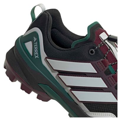 adidas Terrex Skychaser GTX Wanderschuhe Schwarz/Grün für Herren