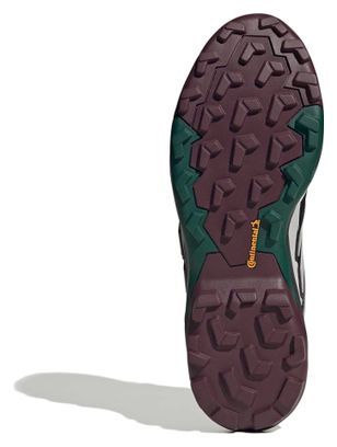 adidas Terrex Skychaser GTX Wanderschuhe Schwarz/Grün für Herren
