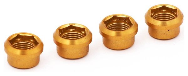 Rennen Regular Gold Chimney Screws (x4)