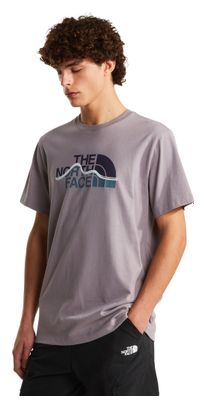 The North Face Mountain Logo Graphic T-shirt, grijs, heren