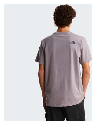 The North Face Mountain Logo Graphic T-shirt, grijs, heren