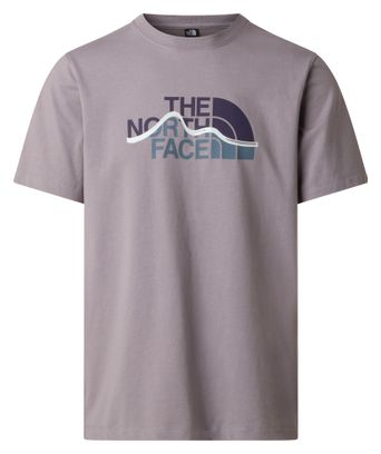 The North Face Mountain Logo Graphic T-shirt, grijs, heren