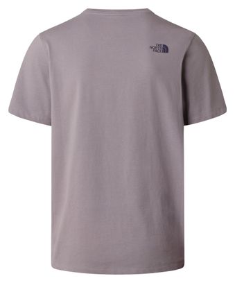 The North Face Mountain Logo Graphic T-shirt, grijs, heren