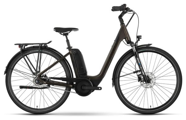 Raymon CityRay E 4.0 SE Bicicleta Eléctrica de Ciudad Shimano Nexus 8S 500Wh 26'' Marrón 2024