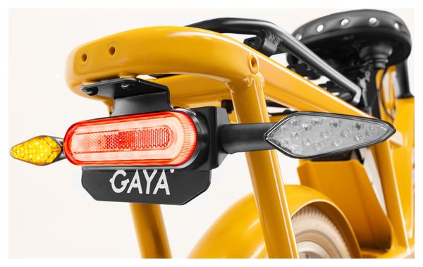 Vélo Cargo GAYA  L'Incroyable Le Long  Amande  pack Enfant