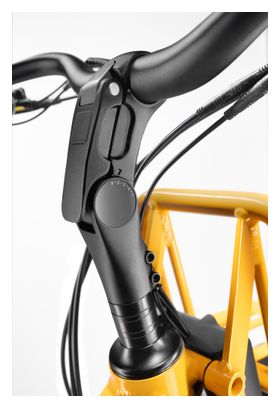 Vélo Cargo GAYA  L'Incroyable Le Long  Amande  pack Enfant