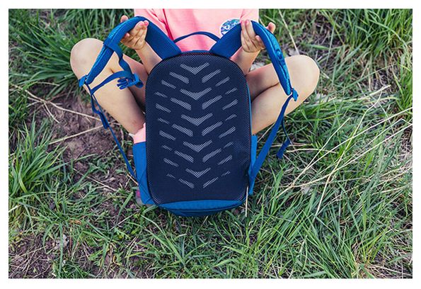 Gregory Wander 8L Blue Children's Hiking Bag