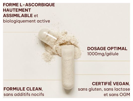 Vitamin C Max (90 Caps) - Superset Nutrition - Vitamine C