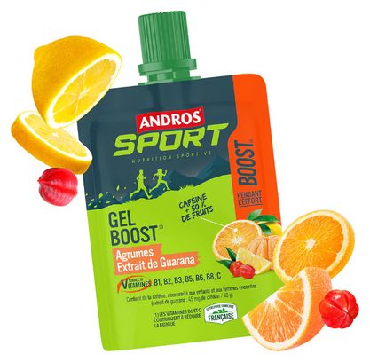 Andros Sport Boost Energy Gel Argumes/Guarana Extract 40g
